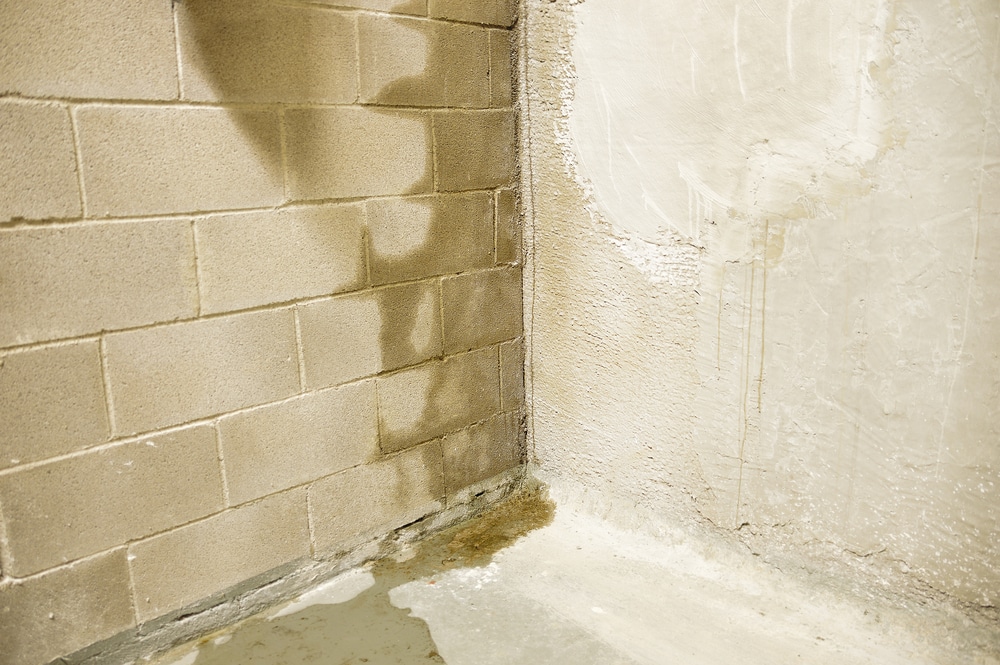 Water Damage: How To Find The Source Of A Leak In Your Home