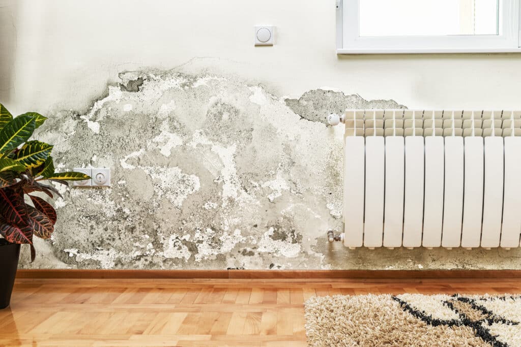 Prevent mold growth