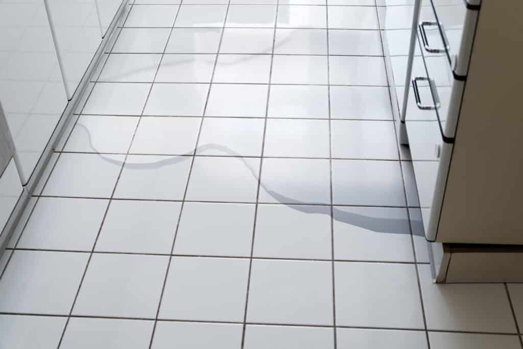 Water damage to your flooring in Salt Lake City, UT